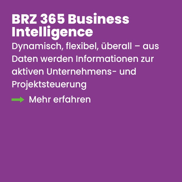 brz_business_intelligence_entdecken